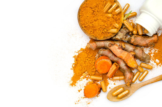 Top 10 Superfood Powders We Love in 2023