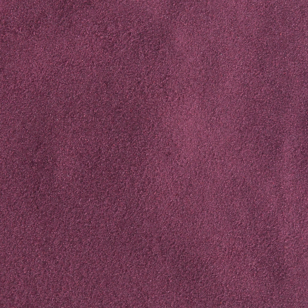 Conventional Coffee Cherry Powder