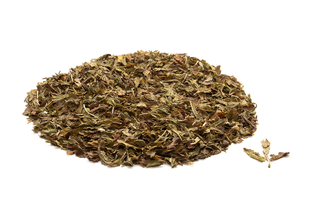 Organic Spearmint Leaves Botanicals