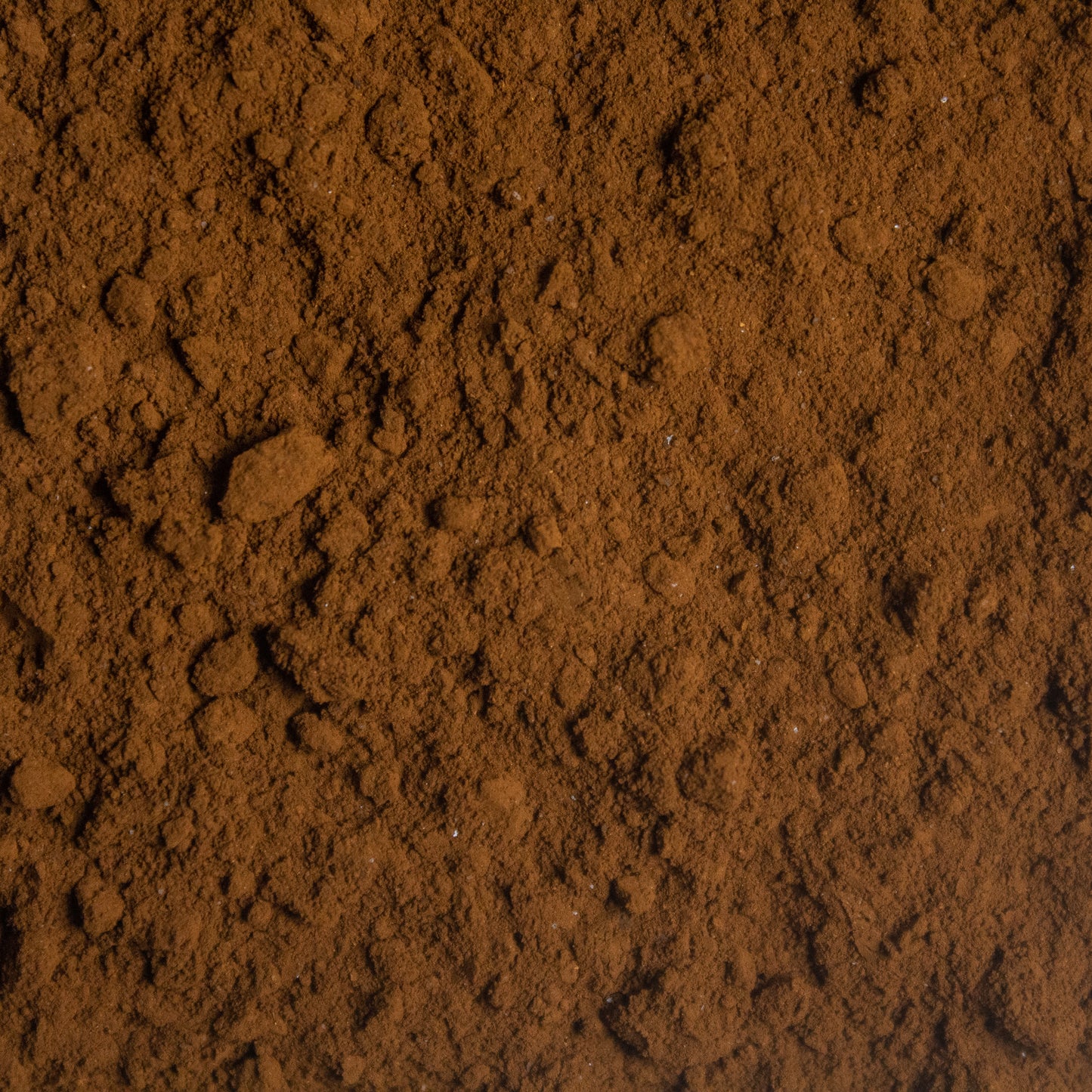 Organic Chaga Powder