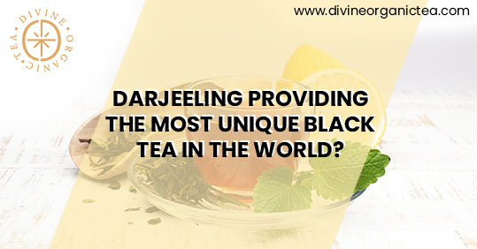 Darjeeling Providing The Most Unique Black Tea In The World?