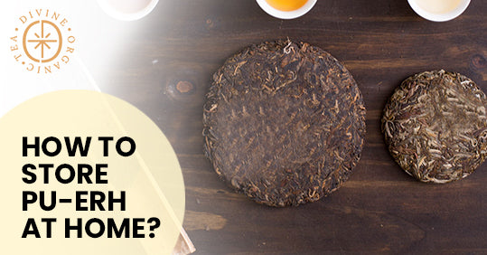 How To Store Pu-Erh At Home?
