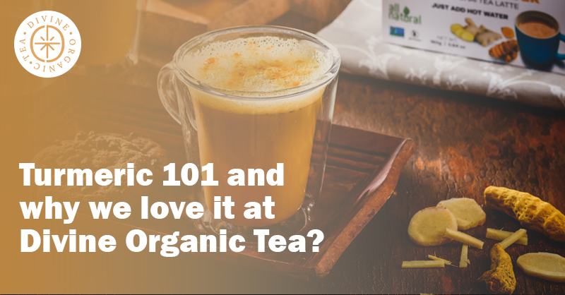 Turmeric 101 and why we Love it at Divine Organic Tea?