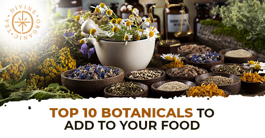 Top 10 Botanicals to Add to your Food