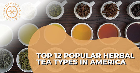 Top 12 Popular Herbal Tea Types in America