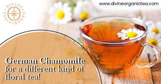 "German Chamomile" For A Different Kind Of Floral Tea!