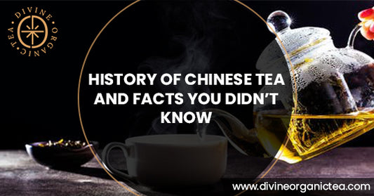 History Of Chinese Tea And Facts You Didn’t Know