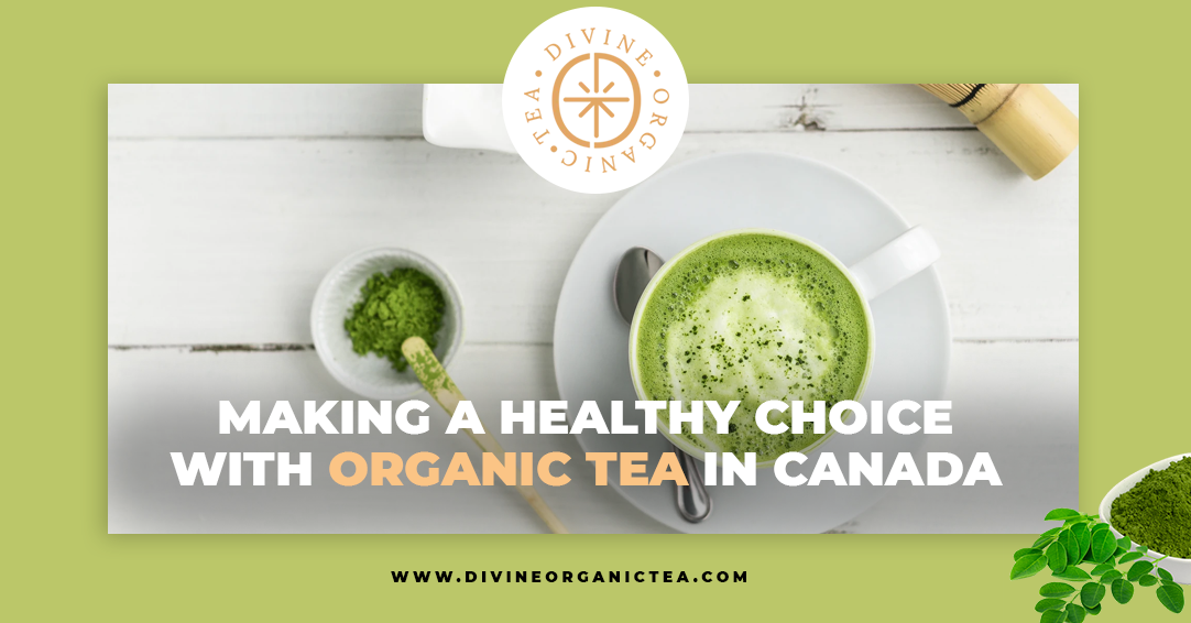 Making a Healthy Choice with Organic Tea in Canada